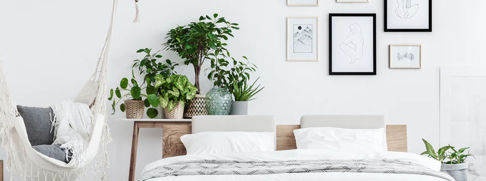 Showroom de naturaleza artificial