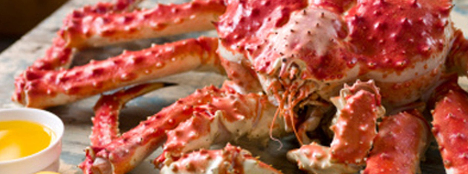 ¡Peces Gordos Recibe el Travellers’ Choice de TripAdvisor por Segundo Año Consecutivo!