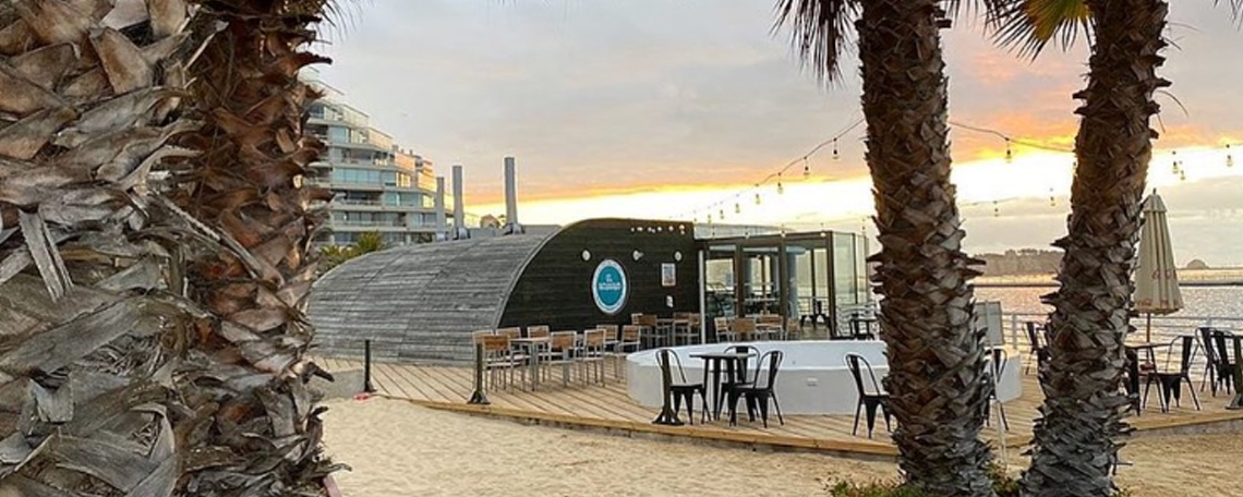 Descubre las Experiencias Únicas de Peces Gordos y El Acuario