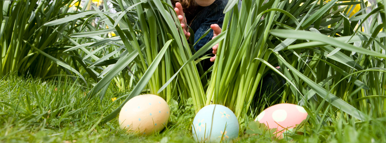Semana Santa 2024 en San Alfonso del Mar