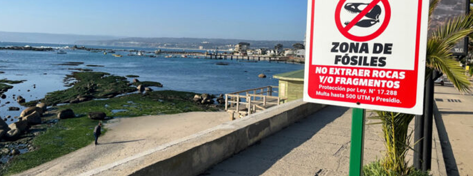 Invitación al XIII Simposio Chileno de Historia de la Geología