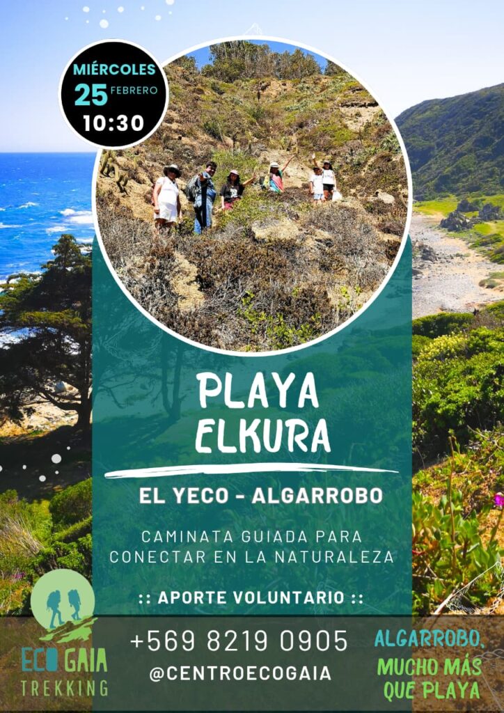 Caminata Playa ElKura en Febrero